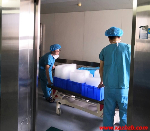 91免费看污羞羞的视频冰塊廠家
